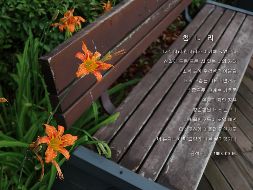 Ŭ���ϸ� Ȯ������� �ѹ��� ���� ���ְ� �ֽ��ϴ١�